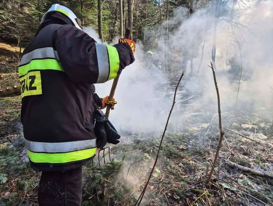 Ogień w lesie w Małej: interweniowały jednostki OSP