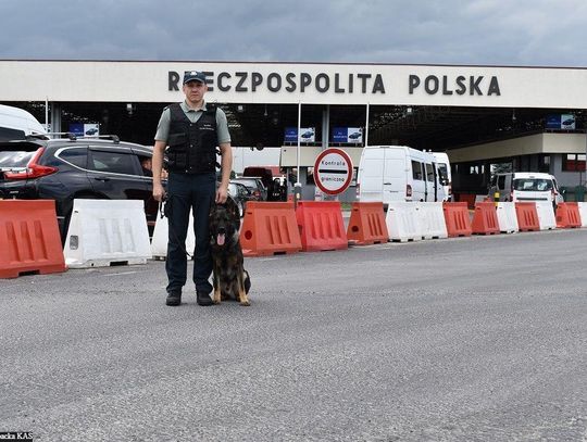 Pierwszy pies w podkarpackiej KAS do wykrywania gatunków zagrożonych wyginięciem