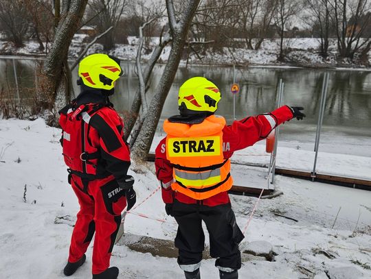 Pies wpadł do wody na bulwarach. Na miejscu strażacy z łodzią