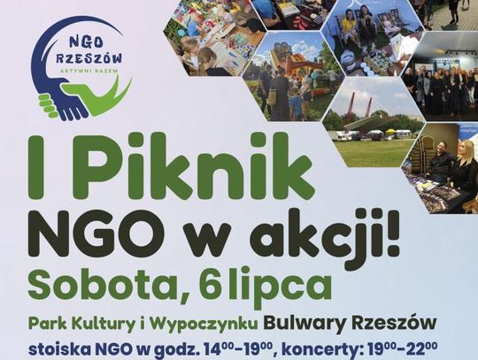 Piknik NGO - Święto aktywności i kreatywności na rzeszowskich bulwarach [HARMONOGRAM]