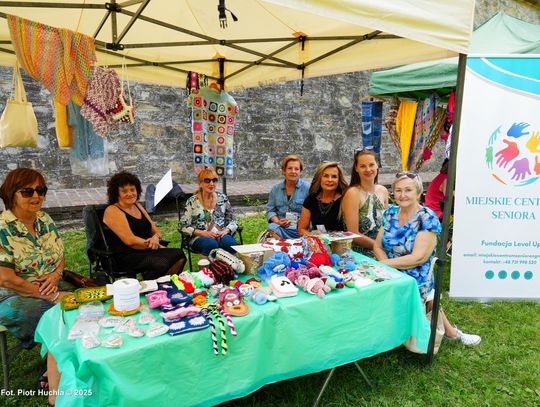 Piknik NGO w akcji. Święto rzeszowskiej społeczności