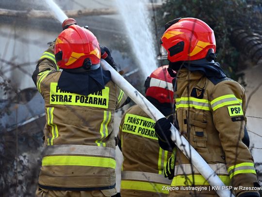 Podkarpacie w ogniu bezmyślności. Tragiczny bilans wiosennych pożarów traw