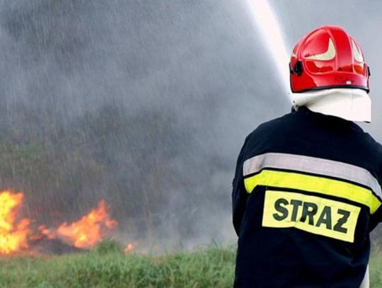 Podkarpackie: ponad 300 pożarów traw w tylko marcu