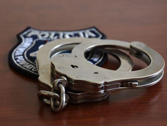 Podpalił tuje sąsiada i groził innym. 57-latek trafił do aresztu