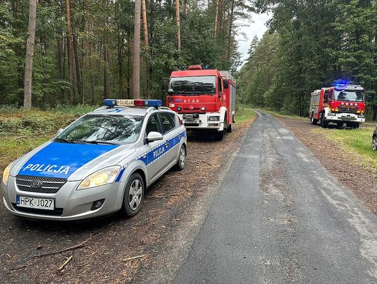 Policjanci odnaleźli zaginionego grzybiarza