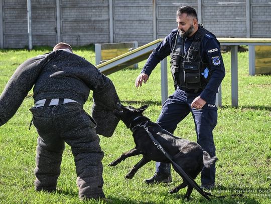 Policyjne psy po egzaminach [ZDJĘCIA]