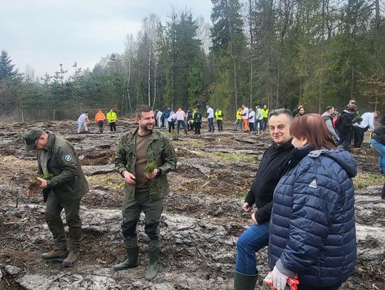 Ponad 4 tysiące drzew zasadzonych podczas V Otwartego Sadzenia Lasu w Leśnictwie Bratkowice [ZDJĘCIA]