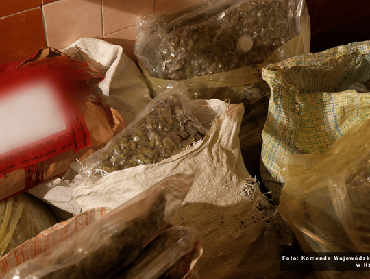 Ponad 60 kilogramów narkotyków ukrytych w skrytkach! Wielomiesięczne śledztwo policji i prokuratury z Rzeszowa