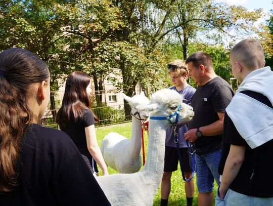 Ponad 80 dzieci otrzymało wsparcie. Rzeszów rozwija placówki pomagające najmłodszym