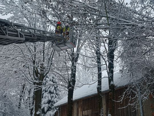 Ponad 870 interwencji strażaków po intensywnych opadach śniegu – nikt nie został ranny