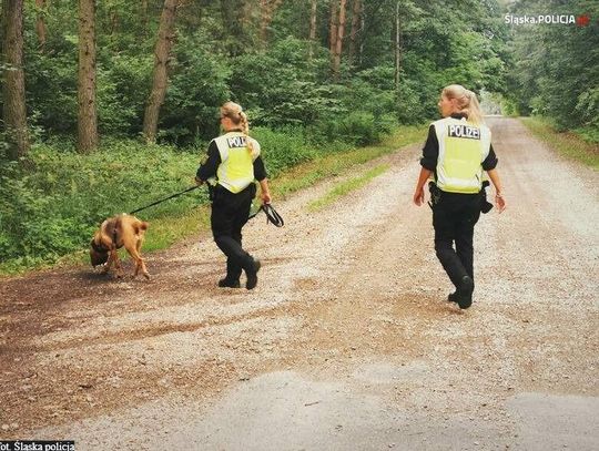 Poszukiwany żywy lub martwy. 20 tysięcy za pomoc w ujęciu Jacka Jaworka