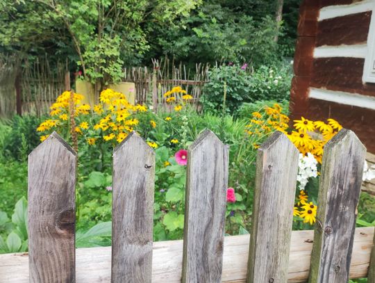 Powitanie wiosny na Podkarpaciu – żywe tradycje, które przetrwały wieki