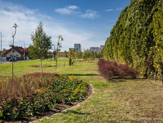 Powstał nowy park w Rzeszowie. Mieszkańcy Miłocina wybrali tę inwestycję