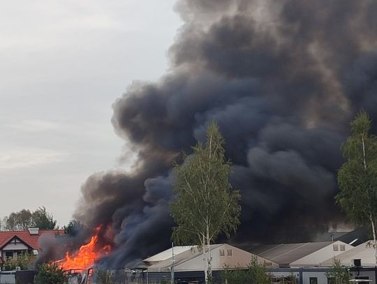 Pożar hali magazynowej w Tajęcinie pod Rzeszowem [FOTO] [VIDEO]