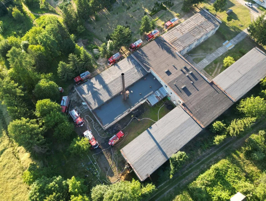 Pożar kurnika w Głuchowie. Tysiące kur uratowanych dzięki heroicznej akcji strażaków [ZDJĘCIA]