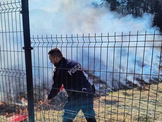 Pożar łąki w Bieszczadach opanowany! Problem wypalania traw co roku wraca, jak bumerang