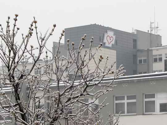 "Profilaktyka jest OK”. Bezpłatne badania USG dla dzieci, niestety nie ma już wolnych miejsc