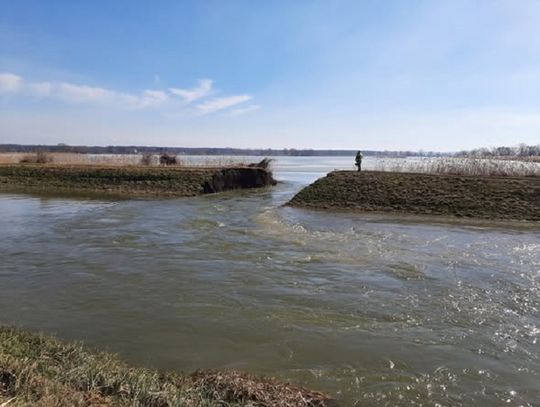 Przerwana grobla na stawie hodowlanym w Starzawie. Służby szybko opanowały sytuację