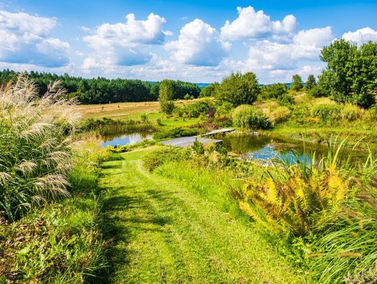 Przez Bieszczady, Pogórze Karpackie i Roztocze rowerem. Czemu nie?