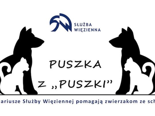 Puszka z ,,Puszki" - akcja na rzecz schroniska w Rzeszowie