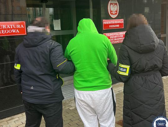 Rozbito internetową siatkę pedofilską. Zatrzymania na Podkarpaciu