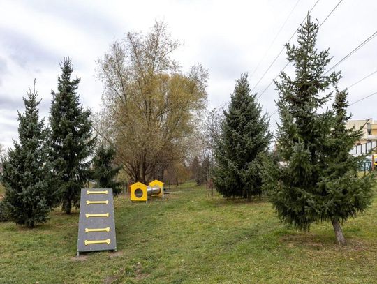 Rzeszów. Przerwa w działaniu psich parków na kilku osiedlach