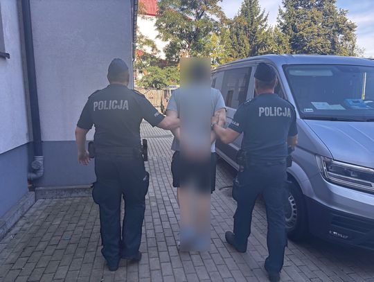 Seria podpaleń w regionie. 30-latek trafił do aresztu