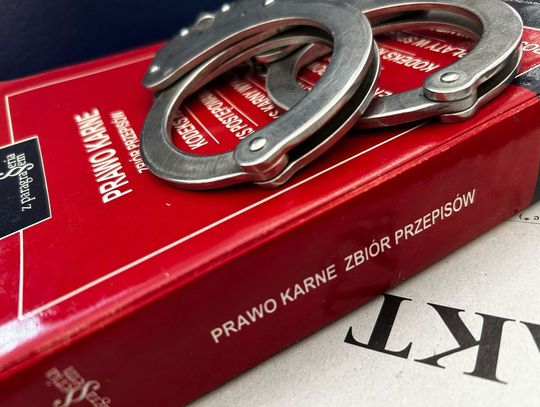 Seria zatrzymań na Podkarpaciu. Policja ujęła 18 poszukiwanych