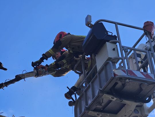 Silny wiatr nad Podkarpaciem. Strażacy interweniowali już ponad 90 razy [ZDJĘCIA]