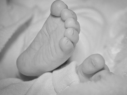 Śledztwo prowadzone pod kątem zabójstwa! Poruszająca sprawa z Sulistrowej