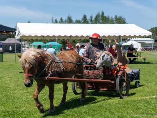 Smaki tradycji i wielkie święto regionu. „Festiwal Podkarpackich Smaków” po raz kolejny przyciągnął tłumy do Górna [ZDJĘCIA]