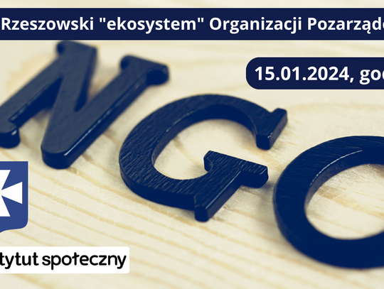 Spotkanie "Rzeszowski ekosystem Organizacji Pozarządowych"