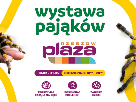 Spotkanie z egzotyką: wystawa pająków i skorpionów w Galerii Plaza w Rzeszowie