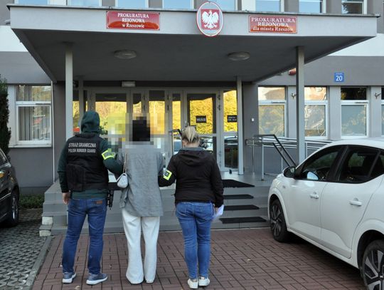Straż Graniczna rozbiła grupę fałszującą dokumenty dla cudzoziemców. 23 osoby z zarzutami