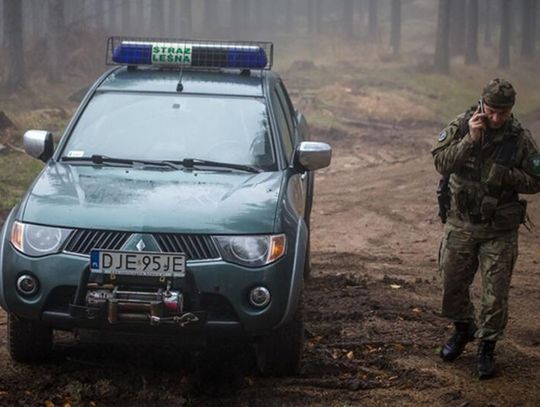 Straż Leśna ruszyła z kontrolami przed Wszystkimi Świętymi. Akcja także w Nadleśnictwie Głogów