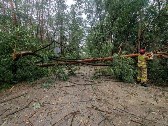Strażacki maraton po nawałnicach na Podkarpaciu. Ponad 400 interwencji w jeden dzień