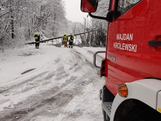 Strażacy wyjeżdżali ostatniej doby ponad 400 razy!