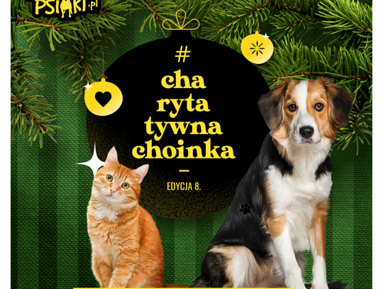 To już 8. edycja akcji #CharytatywnaChoinka – karmimy psiaki