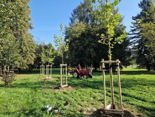 Tysiące nowych roślin w Rzeszowie