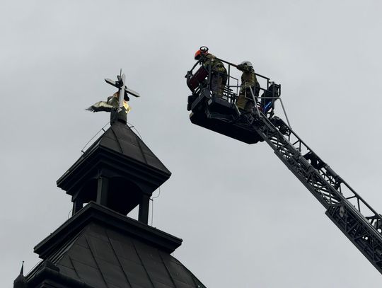 Uratowano bociana uwięzionego na dachu kościoła w Świlczy - Kamyszynie
