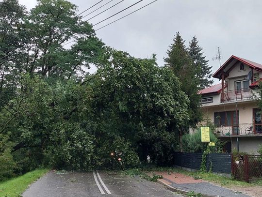 Usuwanie skutków burz na Podkarpaciu. Połamane drzewa, zalane drogi i posesje [FOTO]