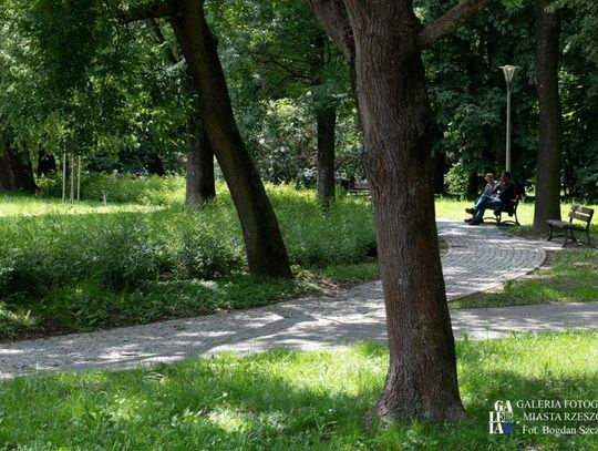 W parku przy ul. Wieniawskiego przybędzie drzew i krzewów, powstaną nowe aleje