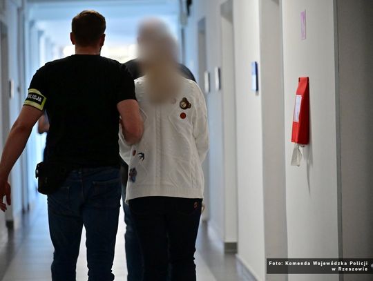 Wiceprezeski stowarzyszenia z zarzutami. Śledczy rozbili układ korupcyjny przy szkoleniach z dofinansowaniem