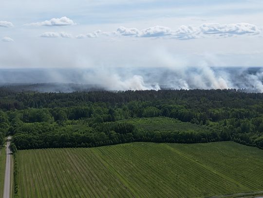 Wielki pożar lasu w okolicach Starego Dzikowa. Ponad 120 strażaków i samoloty w akcji