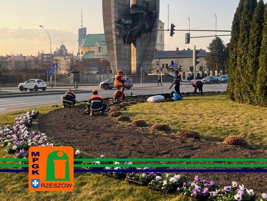 Wiosna tuż za rogiem – miasto przygotowuje się na nowy sezon