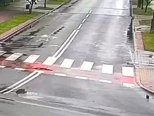 Wysiadł z jadącego Mercedesa. Auto bez kierowcy wjechało w ogrodzenie [WIDEO]