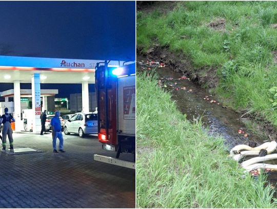 Zanieczyszczenie Młynówki w Rzeszowie. Wyciek paliwa ze stacji Auchan trafił do potoku!