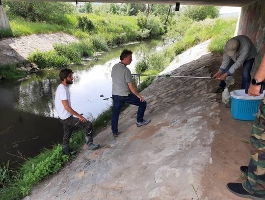 Zanieczyszczenie rzeki Stobnica. Trwa kontrola podmiotu podejrzewanego o skażenie
