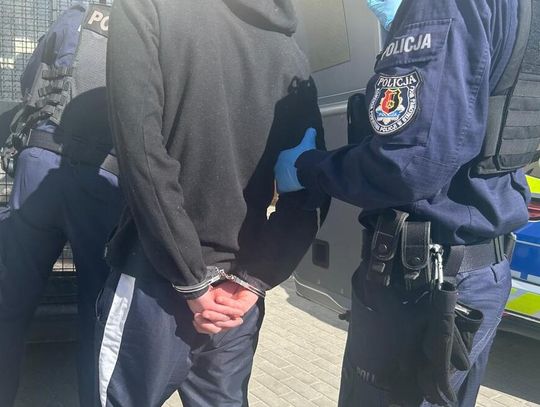 Zarzut szczególnego okrucieństwa znęcania się nad psem