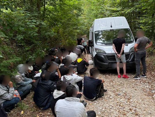 Zatrzymano "kurierów" przewożących migrantów. Wśród nich dwóch Polaków